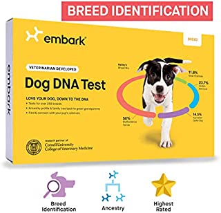 Embark | Dog DNA Test