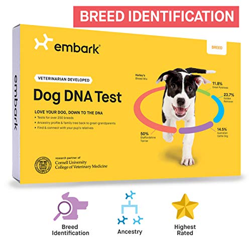 Embark | Dog DNA Test