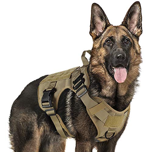 rabbitgoo Tactical Dog Harness Vest Large with Handle, Military Dog Harness Working Dog Vest with MOLLE & Loop Panels, No-Pull Adjustable Training Vest with Metal Buckles & Leash Clips for Walking