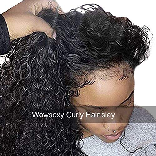 Wowsexy Hair Brazilian Virgin Hair Remy Wigs Curly Lace Front Wigs Human Hair with Baby Hair for Black Women African Americans Wigs Pre Plucked Hairline