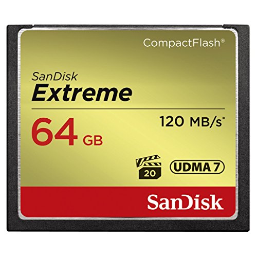 SanDisk Extreme 64GB CompactFlash Memory Card (SDCFXSB-064G-G46)