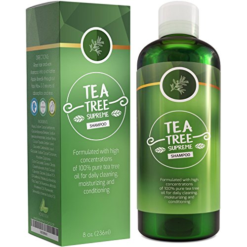 Sulfate Free Tea Tree Shampoo Dandruff Treatment for Women & Men with Pure Rosemary + Jojoba Oils - Healthy Scalp Cleanser for Colored Dry + Oily + Thick + Fine Natural Hair Care for Silky Soft Hair