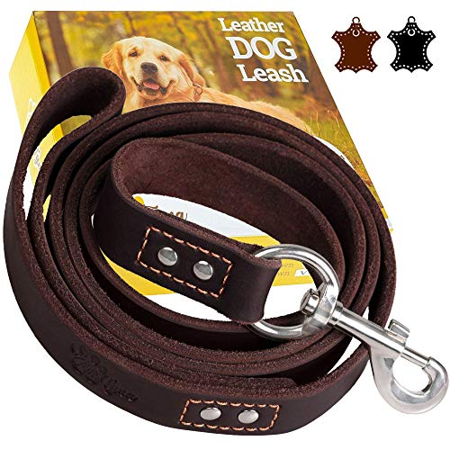 10 Best Leather For Making Dog Leashes