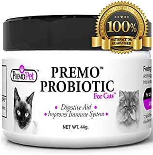 PROBIOTIC for Cats  Premo Pet