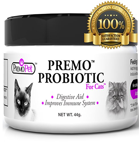 PROBIOTIC for Cats  Premo Pet