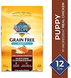 Nature's Recipe Dry Dog Food for Puppies, Chicken, Sweet Potato & Pumpkin Recipe, 12 Pounds, Grain Free