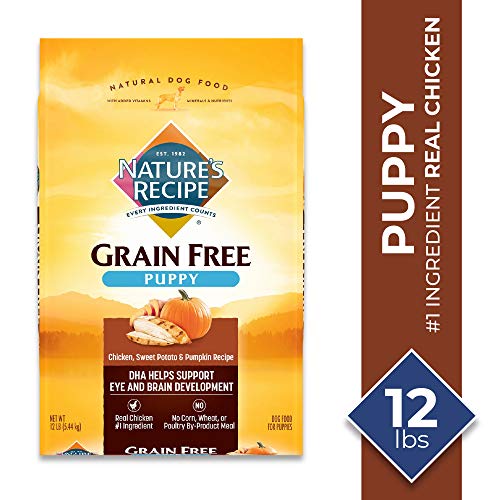 Nature's Recipe Dry Dog Food for Puppies, Chicken, Sweet Potato & Pumpkin Recipe, 12 Pounds, Grain Free