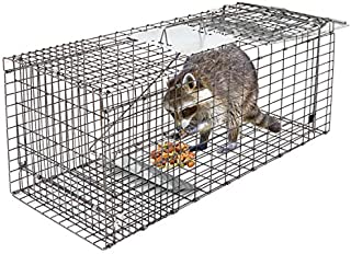 HomGarden Live Animal Trap 32inch Catch Release Humane Rodent Cage for Raccoon, Rabbit, Groundhog, Stray Cat, Squirrel, Mole, Gopher, Chicken, Opossum, Skunk & Chipmunks Nuisance Rodents