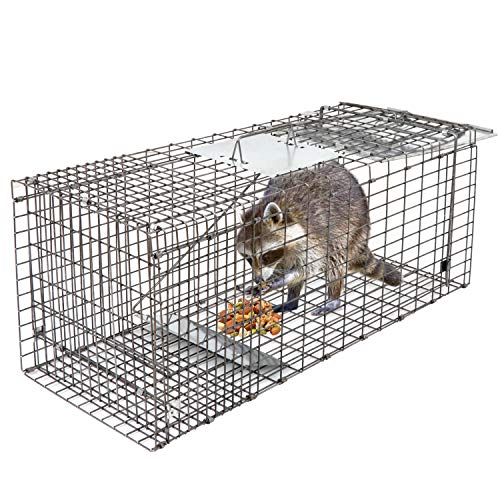 HomGarden Live Animal Trap 32inch Catch Release Humane Rodent Cage for Raccoon, Rabbit, Groundhog, Stray Cat, Squirrel, Mole, Gopher, Chicken, Opossum, Skunk & Chipmunks Nuisance Rodents