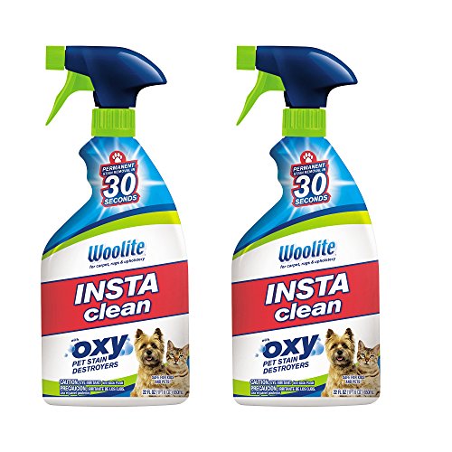 Woolite INSTAclean Permanent Pet Stain Remover, 22oz (Pack of 2), 21809