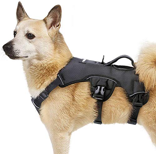 rabbitgoo Escape Proof Dog Harness, Soft Padded Full Body Pet Harness, Reflective Adjustable No Pull Vest with Lift Handle and Lesh Clip for Large Dogs Walking Hiking Training