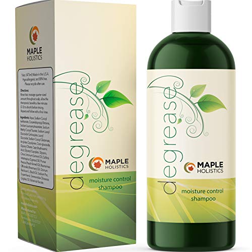 Best Shampoo for Oily Hair - Itchy Scalp Botanical Hair Loss Treatment for Men & Women - Degreaser Hair Product Sulfate Free - Clarifying Shampoo for Color Treated Hair & Natural Beauty Hair Care 16oz