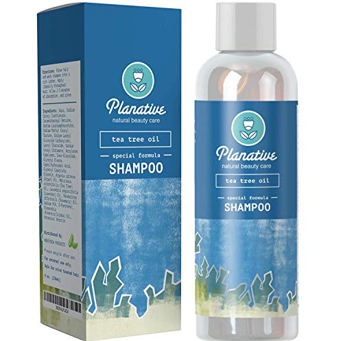 Natural Tea Tree Oil Dandruff Shampoo for Dry Scalp and Oily Hair Pure Therapeutic Sulfate Free Herbal Antibacterial and Anti Fungal Fine Essential Oils Hair Care Prevent Head Lice and Thinning Hair