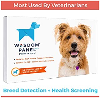 Wisdom Panel Health Canine DNA Test