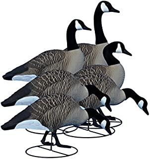 Higdon Outdoors Canada Alpha Magnum Full-Body Variety Pack Hunting Decoys, Multi