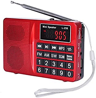 LCJ Portable FM AM Shortwave Digital Mini Radio and Pocket USB Mp3 Music Stereo Player Speaker with Rechargeable Battery