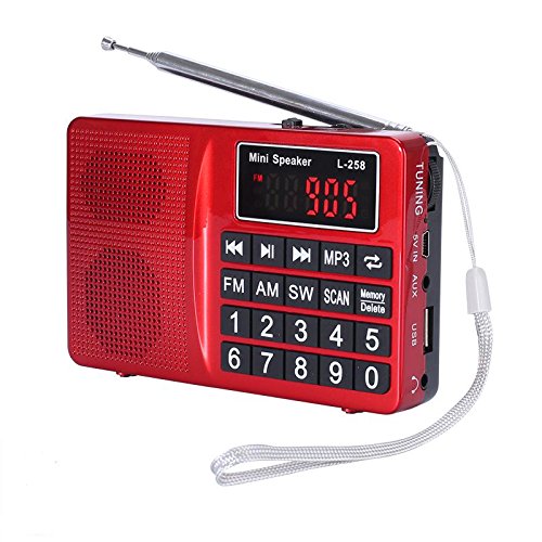 LCJ Portable FM AM Shortwave Digital Mini Radio and Pocket USB Mp3 Music Stereo Player Speaker with Rechargeable Battery