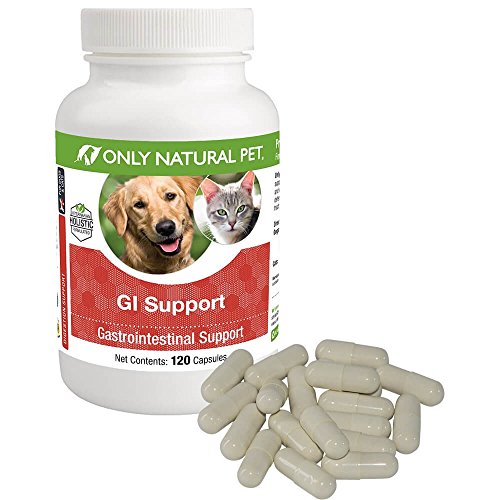 Only Natural Pet GI Support
