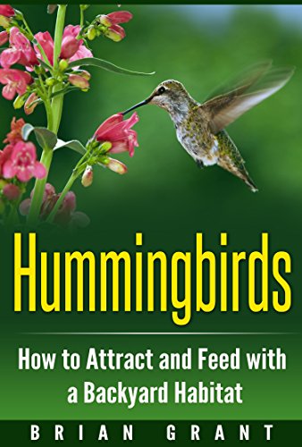 Hummingbirds: How to Attract and Feed with a Backyard Habitat