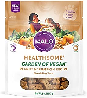 Halo Vegan Grain Free Natural Crunchy Dog Treats, Garden of Vegan Peanut N' Pumpkin Recipe, 8-Ounce Bag