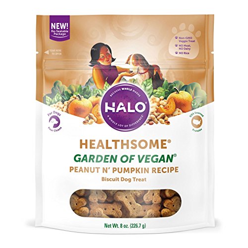 Halo Vegan Grain Free Natural Crunchy Dog Treats, Garden of Vegan Peanut N' Pumpkin Recipe, 8-Ounce Bag