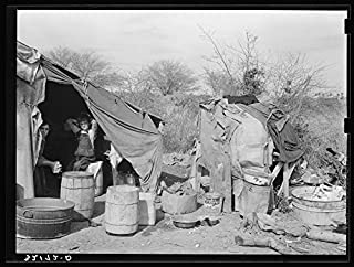 White migrant camp near Mercedes, Texas. Chicken coop at right constructed of gunny sacks and cardboard. See 32108-D