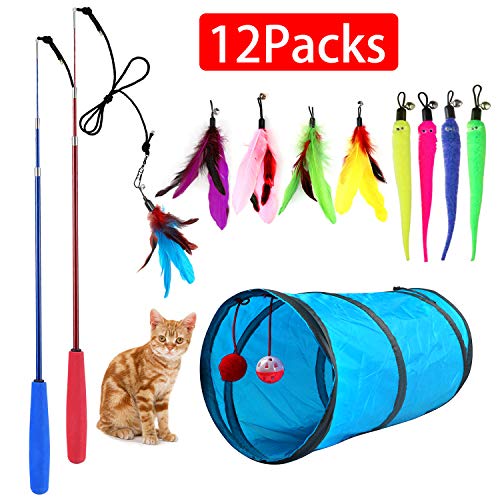 M JJYPET Retractable Cat Toy Wand