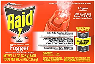 Raid Concentrated Deep Reach Fogger (Pack - 1)