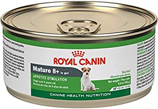 Royal Canin Canine Health Nutrition Mature 8+ In Gel Canned Dog Food, 5.8 oz Can (Pack of 24)