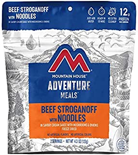 Mountain House Beef Stroganoff with Noodles | Freeze Dried Backpacking & Camping Food | 2 Servings