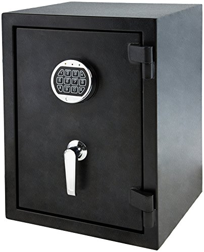 10 Best Digital Fireproof Safe