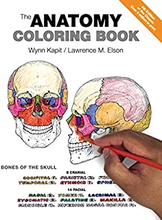 Anatomy Coloring Book, The