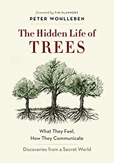 The Hidden Life of Trees