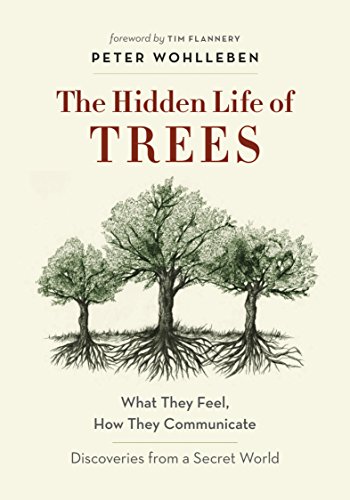 The Hidden Life of Trees: What They Feel, How They CommunicateDiscoveries from A Secret World