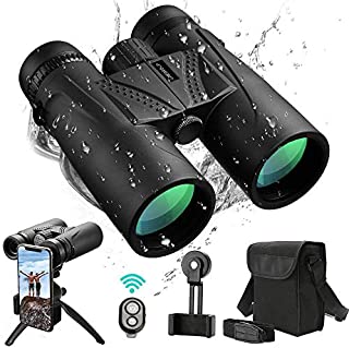 UNEGROUP Binoculars for Adults, 10x42 HD Low Light Night Vision Compact Binocular, Waterproof Lightweight Binocular Prism FMC BAK4 for Outdoor Birdwatching Sports Games with Smartphone Adapter Tripod