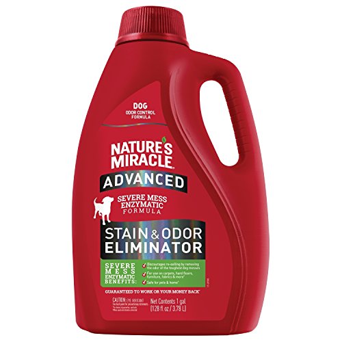 Natures Miracle Advanced Stain