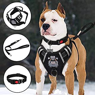 TIANYAO Dog Harness No-Pull Dog Vest Set Reflective Adjustable Oxford Material Pet Harness for Medium Large Dogs with Leash and Collar (Large(Chest:25-35