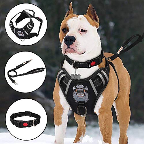 TIANYAO Dog Harness No-Pull Dog Vest Set Reflective Adjustable Oxford Material Pet Harness for Medium Large Dogs with Leash and Collar (Large(Chest:25-35