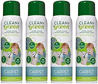 Carpet Cleaner- Natural Non-Toxic Stain Remover and Odor Eliminator  Deep Clean Your Carpeted Floors with This Multi Purpose Spray- Safe for Kids, Pets, People, and Environment (14oz) (4 Pack)