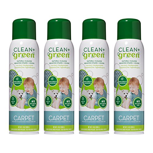 Carpet Cleaner- Natural Non-Toxic Stain Remover and Odor Eliminator  Deep Clean Your Carpeted Floors with This Multi Purpose Spray- Safe for Kids, Pets, People, and Environment (14oz) (4 Pack)