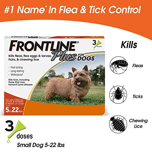 Frontline Plus for Dogs Small Dog (5-22 pounds) Flea and Tick Treatment, 3 Doses