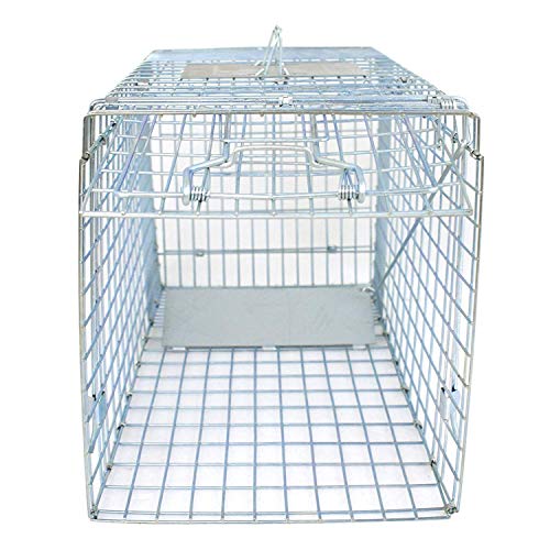 HomGarden Humane Live Animal Cage Trap 32inch Steel Catch Release Rodent Cage for Rabbits, Groundhog, Stray Cat, Squirrel, Raccoon, Mole, Gopher, Chicken, Opossum, Skunk, Chipmunks