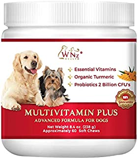 WetNozeHealth Vitamins for Dogs - Canine Multivitamin Supplement with Organic Turmeric and Probiotics for Large and Small Dogs, Chicken Flavor - 60 Soft Chews