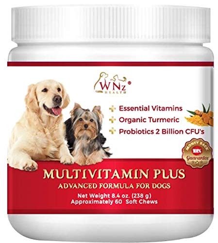 WetNozeHealth Vitamins for Dogs - Canine Multivitamin Supplement with Organic Turmeric and Probiotics for Large and Small Dogs, Chicken Flavor - 60 Soft Chews