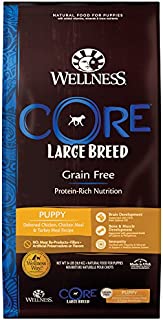 Wellness Core Natural Grain Free Dry Puppy Food, Large Breed Puppy, 24-Pound Bag