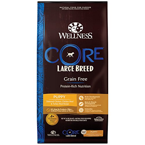 Wellness Core Natural Grain Free Dry Puppy Food, Large Breed Puppy, 24-Pound Bag