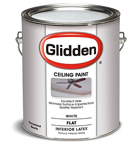 Latex Ceiling Paint, 2070T/01