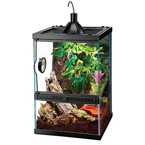 Zilla Tropical Reptile Vertical Starter Kit with Mini Halogen Lighting (ECOM), 11 gal