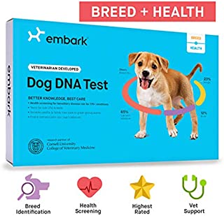 Embark | Dog DNA Test | Breed & Health Kit