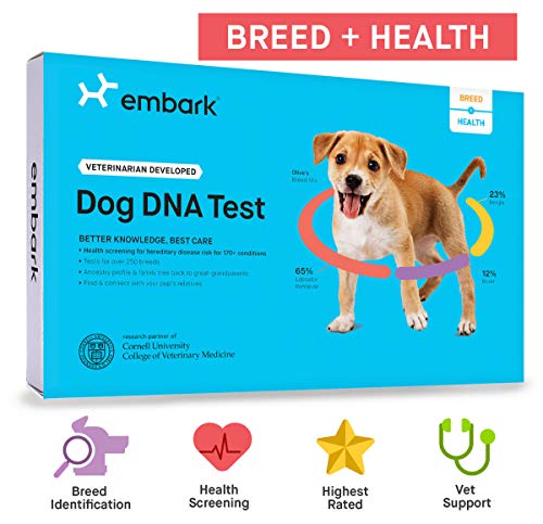 Embark | Dog DNA Test | Breed & Health Kit